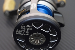 AE74-palm-side