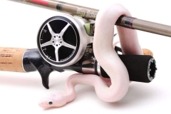 White-Python