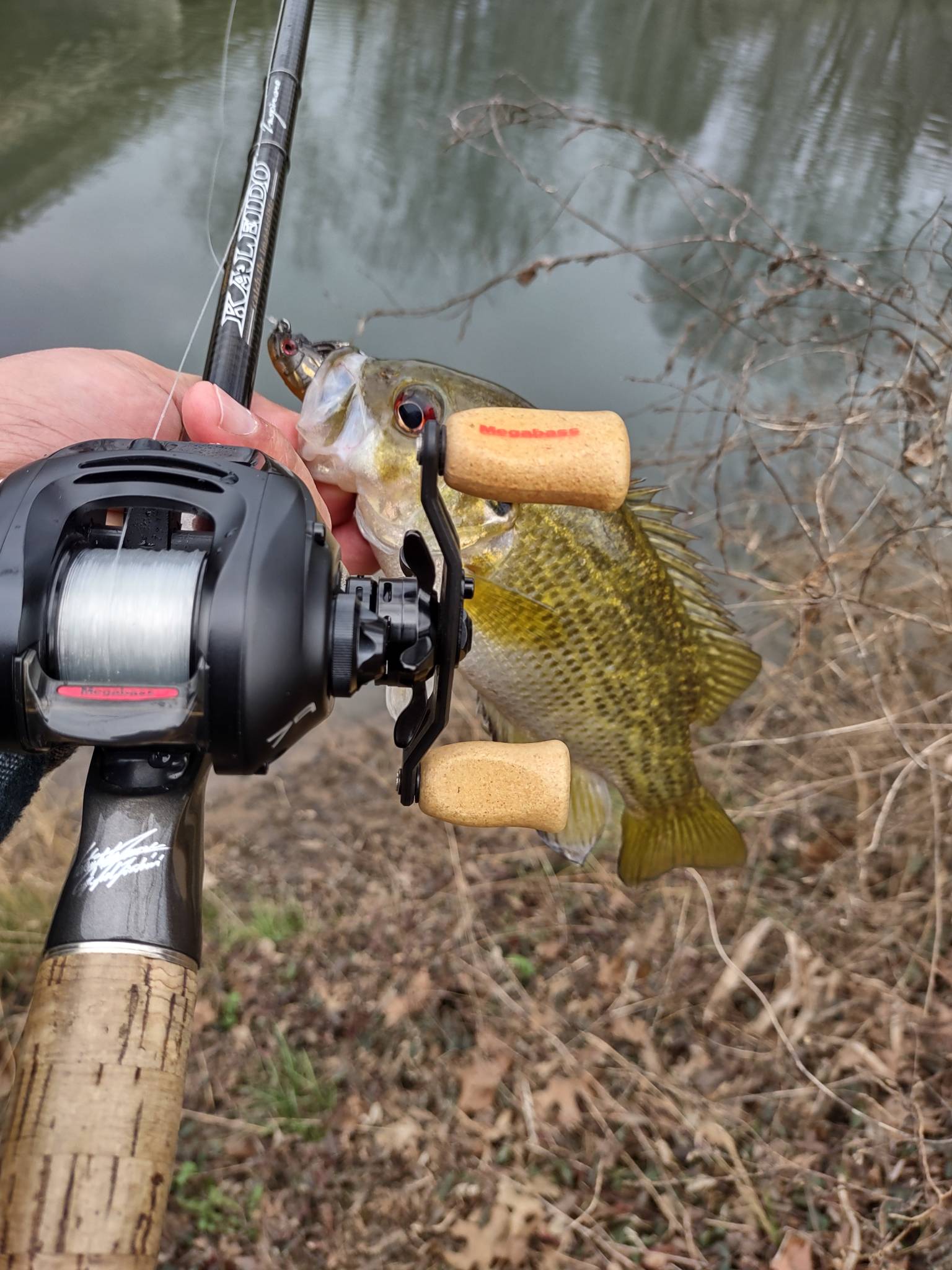Megabass IS79 UC Paradox – All other JDM and enthusiast-level reels – Tackle  Porn