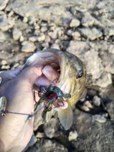 IMG 20260106 153041485 HDR IMG 20260106 153041485 HDR