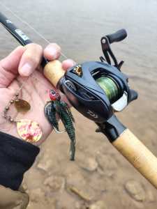 IMG 20260106 101414638 HDR IMG 20260106 101414638 HDR