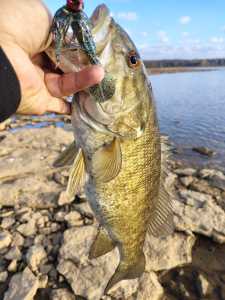 IMG 20260106 153043935 HDR IMG 20260106 153043935 HDR