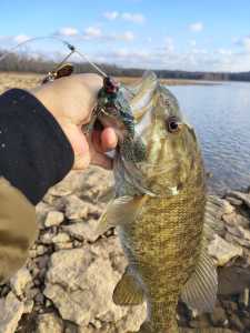 IMG 20260106 153031893 HDR IMG 20260106 153031893 HDR