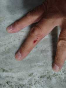 IMG 20260107 065153745 HDR IMG 20260107 065153745 HDR