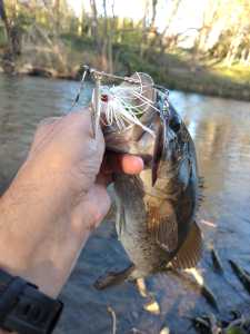 IMG 20260314 175943321 HDR IMG 20260314 175943321 HDR