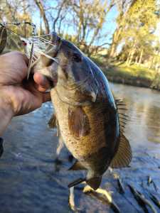 IMG 20260314 175941298 HDR IMG 20260314 175941298 HDR