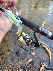 IMG 20260314 180124993 HDR IMG 20260314 180124993 HDR