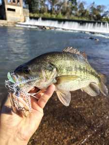 IMG 20260322 092458490 HDR IMG 20260322 092458490 HDR