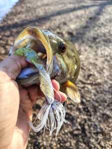 IMG 20260322 082230216 HDR IMG 20260322 082230216 HDR