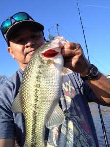 IMG 20260322 081741799 HDR IMG 20260322 081741799 HDR