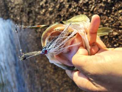 IMG 20260322 081747106 HDR IMG 20260322 081747106 HDR