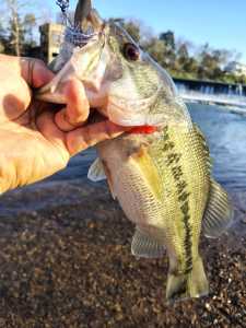 IMG 20260322 081737461 HDR IMG 20260322 081737461 HDR