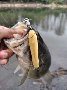 IMG 20260327 082029227 HDR IMG 20260327 082029227 HDR