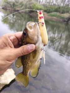 IMG 20260327 092200311 HDR IMG 20260327 092200311 HDR