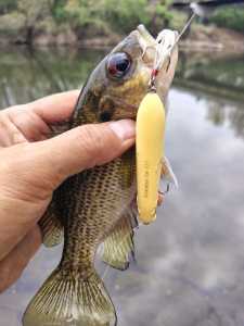 IMG 20260327 092834021 HDR IMG 20260327 092834021 HDR