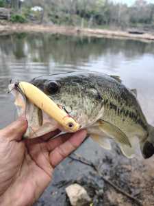 IMG 20260327 082013121 HDR IMG 20260327 082013121 HDR