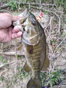 IMG 20260327 091347376 HDR IMG 20260327 091347376 HDR