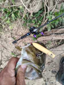 IMG 20260327 091336898 HDR IMG 20260327 091336898 HDR