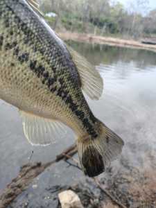 IMG 20260327 082015409 HDR IMG 20260327 082015409 HDR