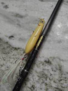 IMG 20260327 194432246 HDR IMG 20260327 194432246 HDR