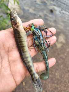 IMG 20260429 091916790 HDR