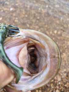 IMG 20260429 085855585 HDR