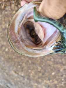 IMG 20260429 085851172 HDR