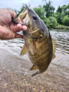 IMG 20260429 085829328 HDR