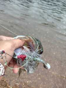 IMG 20260429 083644420 HDR