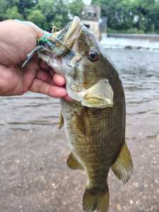 IMG 20260429 084604453 HDR