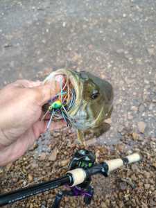 IMG 20260429 084600124 HDR