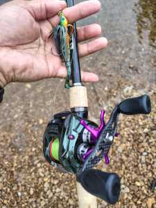 IMG 20260429 084714403 HDR