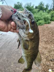 IMG 20260429 083629825 HDR