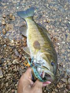 IMG 20260429 085824461 HDR