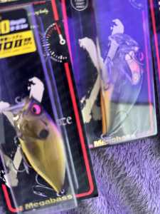 IMG 7432